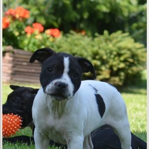 Meet your Posher, Timothy